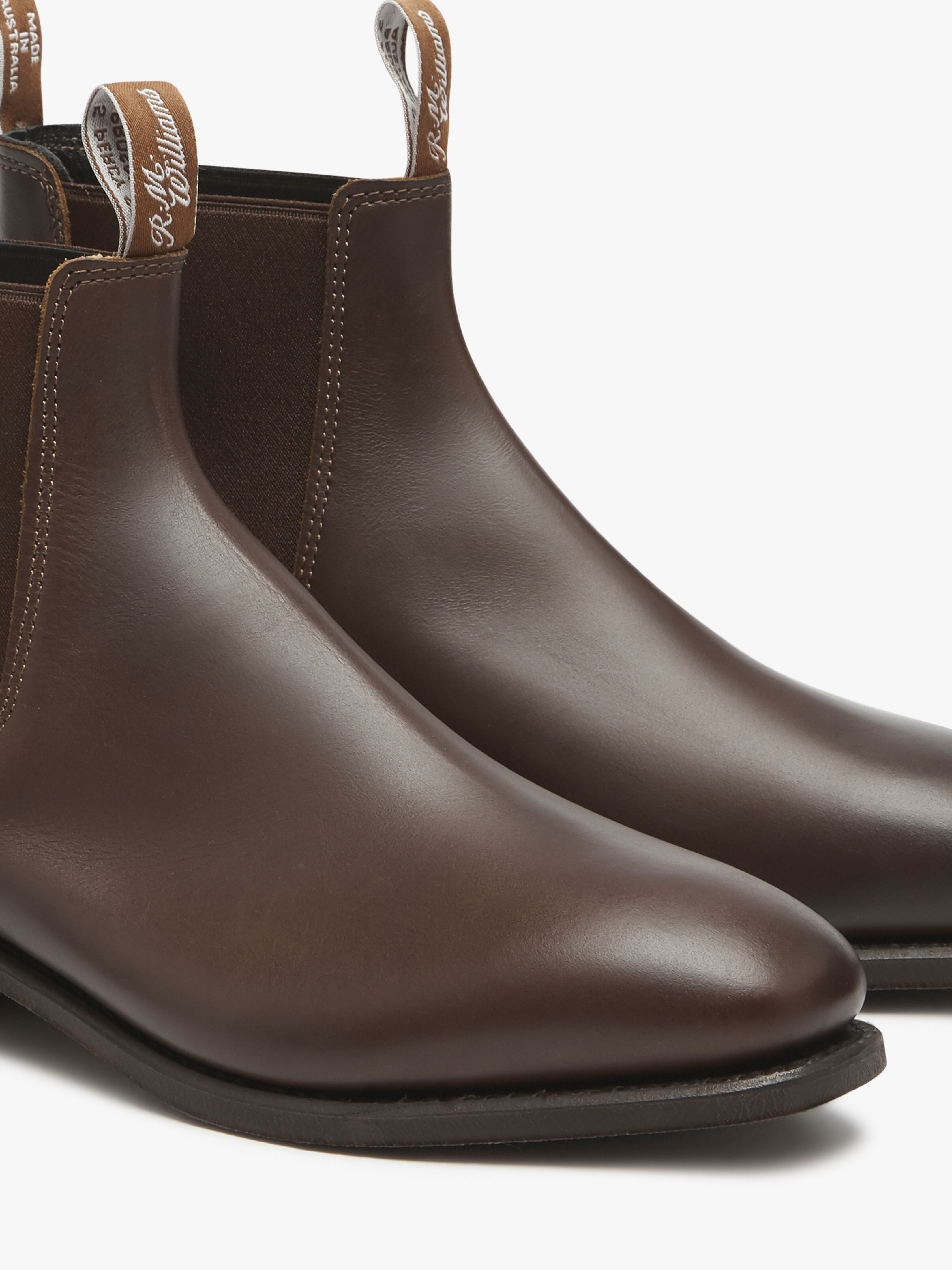 steve madden gills chestnut